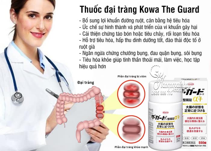 Thuốc đại tràng Kowa The Guard của Nhật, 350, 550 viên 2