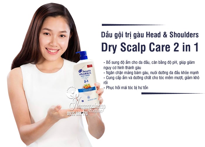 Dầu gội trị gàu Head & Shoulders Dry Scalp Care 2 in 1 (1,28l) 2
