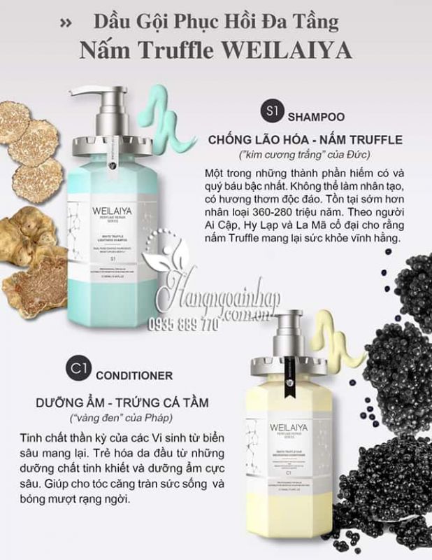 Bộ dầu gội phục hồi đa tầng Nấm Truffle Weilaiya Dòng chăm sóc tóc hàng đầu đỉnh cao của ‘’ Thế hệ kim cương “ - Weilaiya2