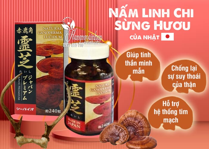 Nấm Linh Chi Sừng Hươu Nhật Bản Chính Hãng Hộp 240 Viên 56