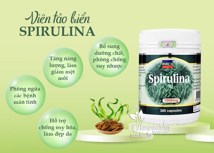 Viên tảo biển Spirulina Costar 1000mg 365 Capsules của Úc 56
