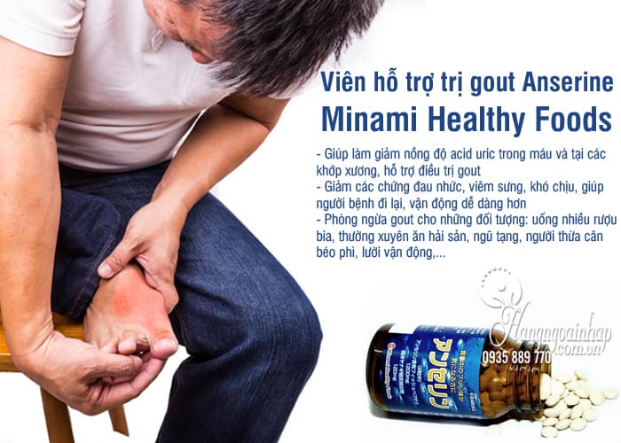 Viên hỗ trợ trị gout Anserine Minami Healthy Foods 240v Nhật 1