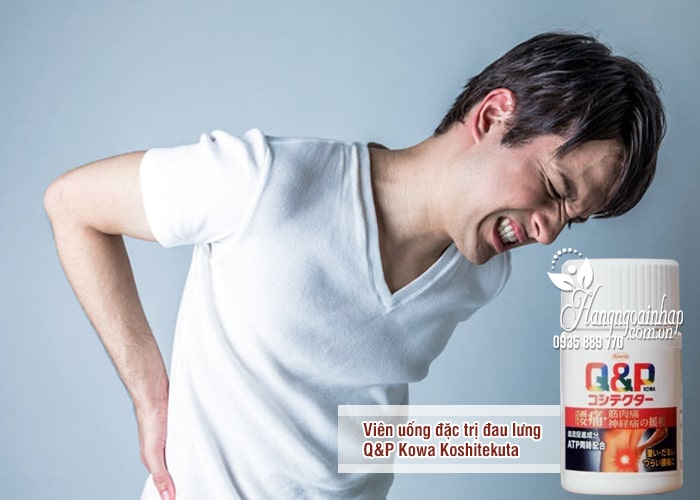 Viên uống đặc trị đau lưng Q&P Kowa Koshitekuta của Nhật Bản 4