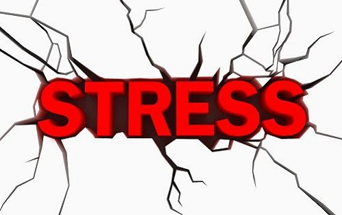 Stress là gì? Nguyên nhân và cách điều trị