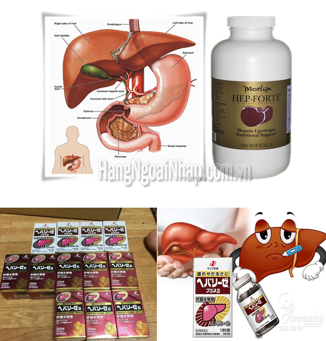 [Khám Phá] Top 3 loại thuốc giải độc gan tốt nhất hiện nay 