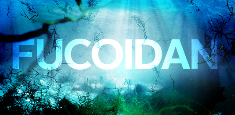 Fucoidan nào tốt nhất? Top 4 loại fucoidan phổ biến 