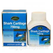 Sụn Vi Cá Mập Greenland Shark Cartilage 750mg 100 Viên Của Úc