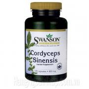 Đông Trùng Hạ Thảo Swanson Cordyceps Sinensis