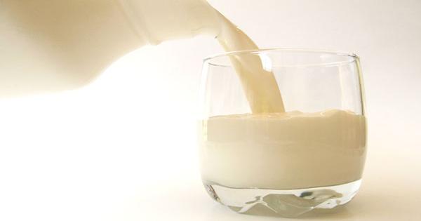 Sữa bò non có tốt không? Cách pha sữa bò non Colostrum 