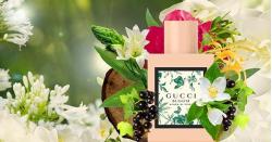 Nước hoa nữ Gucci Bloom Acqua Di Fiori 50ml của Ý, [giá tốt]