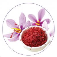 Nhụy hoa nghệ tây Saffron Badiee - Vàng đỏ của Iran