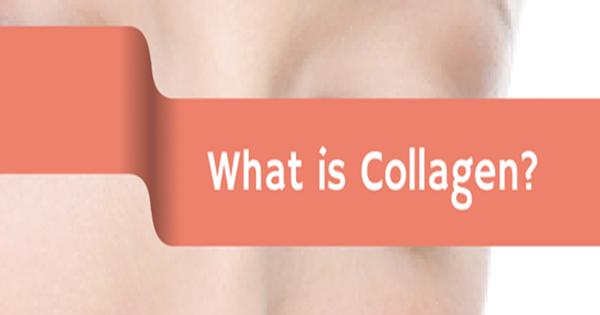 Collagen là gì? Tác dụng của collagen mang lại cho con người