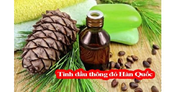 Review tinh dầu thông đỏ Hàn Quốc loại nào tốt nhất hiện nay