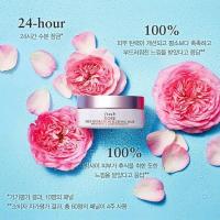 Mặt nạ ngủ dưỡng ẩm 2 bước Fresh Rose Deep Hydration Sleeping Mask