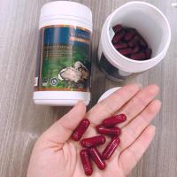 Tinh chất hàu Úc Oyster Extract Vitatree hộp 90 viên