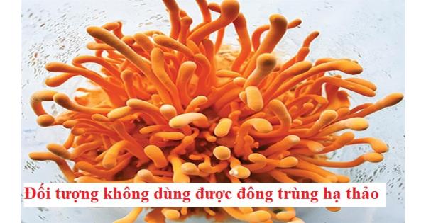 Những đối tượng không dùng được đông trùng hạ thảo