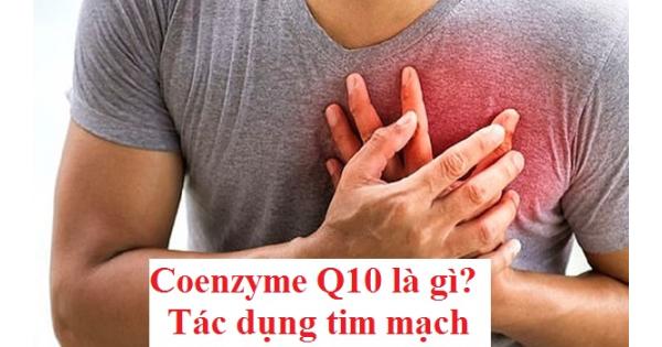 Coenzyme Q10 là gì? Coq10 có tác dụng gì với tim mạch