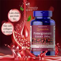 Tinh chất lựu Pomegranate Extract 250mg Puritan Pride