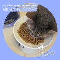 Thức ăn cho mèo trưởng thành Kirkland Healthy Weight của Mỹ