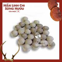 Nấm Linh Chi Sừng Hươu Nhật Bản Chính Hãng Hộp 240 Viên