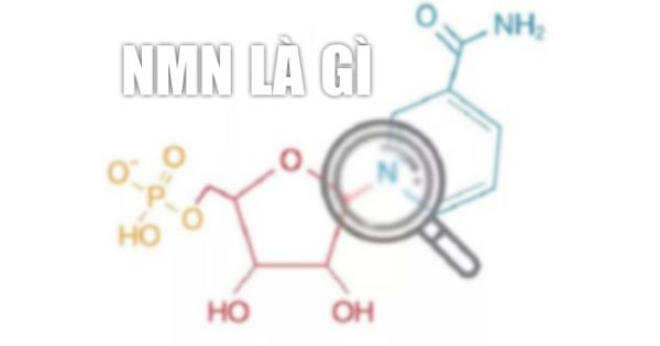 NMN là gì? Sự thật thành phần NMN có tác dụng gì?