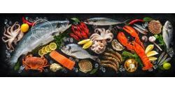 Collagen type 2 có trong thực phẩm nào?Khám phá cách bổ sung