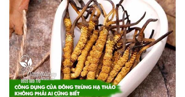 Công dụng của đông trùng hạ thảo không phải ai cũng biết 