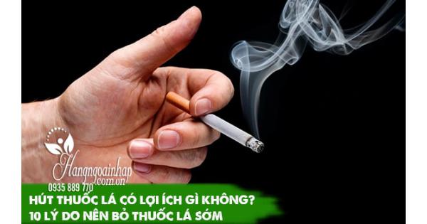 Hút thuốc lá có lợi ích gì không? 10 lý do nên bỏ thuốc lá sớm 