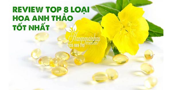 Review TOP 8 hoa anh thảo tốt nhất hiện nay 