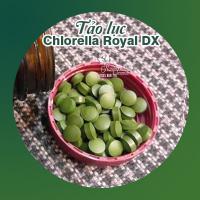 Tảo Xoắn Chlorella Royal DX Nhật Bản - Tảo Lục 1550 Viên 310g