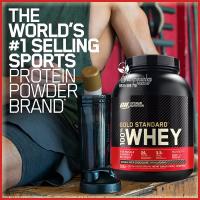 Bột protein Gold Standard Whey của Mỹ vị socola 1,76kg