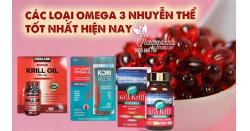 Các loại Omega 3 nhuyễn thể tốt nhất hiện nay chuyên gia khuyên dùng