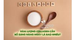 Hàm lượng Collagen cần bổ sung hàng ngày là bao nhiêu?