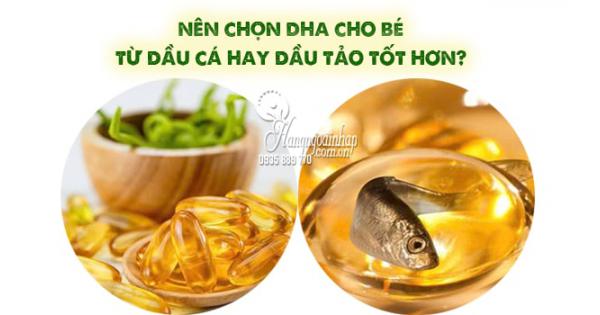 Nên chọn DHA cho bé từ dầu cá hay dầu tảo tốt hơn?