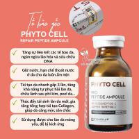 Tế bào gốc Kyung Lab Phyto Cell Repair Peptide Ampoule 20ml