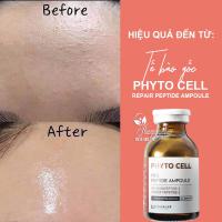 Tế bào gốc Kyung Lab Phyto Cell Repair Peptide Ampoule 20ml