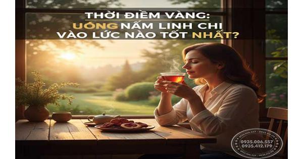 Thời điểm vàng: Uống nấm linh chi vào lúc nào tốt nhất?