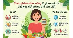 Thực phẩm chức năng là gì và vai trò chủ yếu đối với cơ thể cần biết