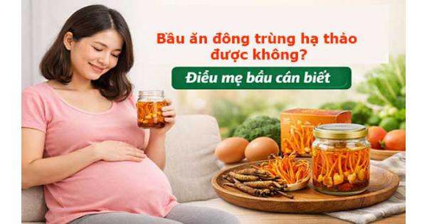 Bầu ăn đông trùng hạ thảo được không? Điều mẹ bầu cần biết