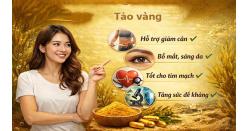 Tảo vàng có tác dụng gì? Bí mật ít người biết