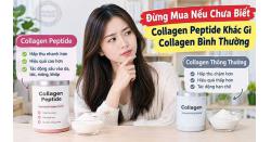 Đừng Mua Nếu Chưa Biết Collagen Peptide Khác Gì Collagen Bình Thường