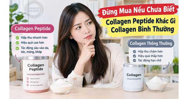 Đừng Mua Nếu Chưa Biết Collagen Peptide Khác Gì Collagen Bình Thường