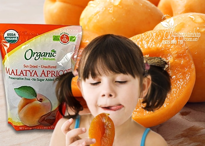 Quả Mơ Sấy Khô Organic Malatya Apricots 1,13Kg Của Mỹ
