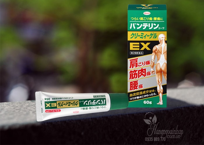 Gel bôi giảm đau nhức và viêm khớp Banterin Kowa EX 60g của Nhật Bản