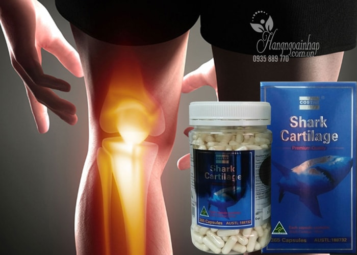 Sụn Vi Cá Mập Costar 750mg - Shark Cartilage Của Úc