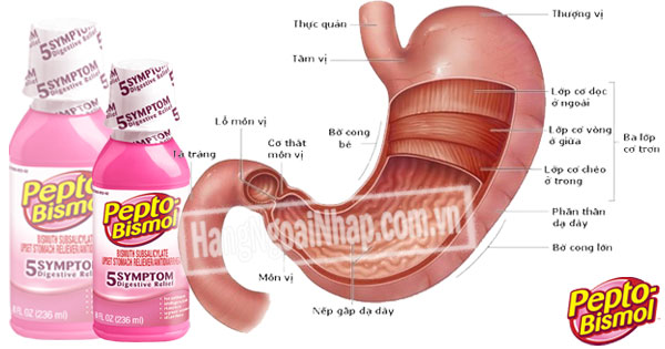 Siro Chuyên Trị Tiêu Hoá Dạ Dày Pepto Bismol 236ml của Mỹ