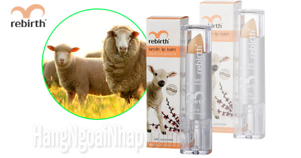 Son dưỡng môi nhau thai cừu chống khô và nứt nẻ 3.7g của Úc