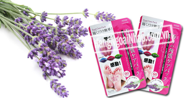 Túi ủ tẩy tế bào chết da chân hương hoa Lavender Foot Care Pack To Plan