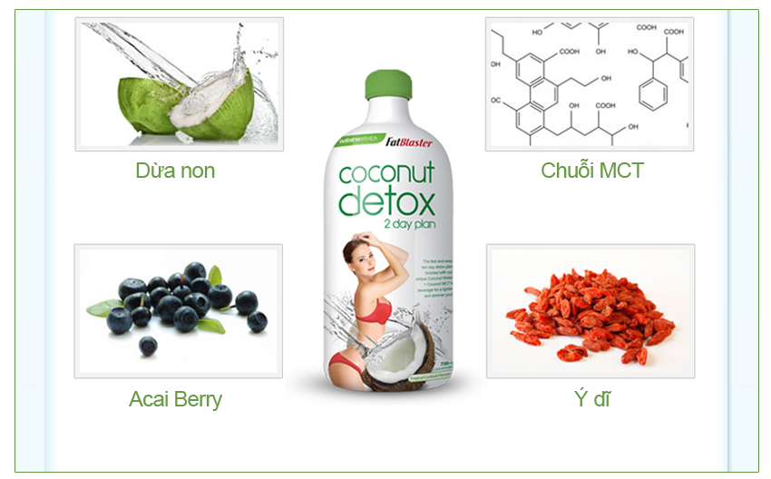 detox coconut thanh phan 