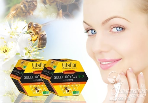 sữa ong chúa VITAFLOR - GELEE ROYALE BIO